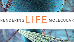 rendering life molecular